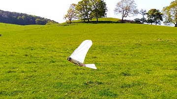 Servo Ornithopter staying up again