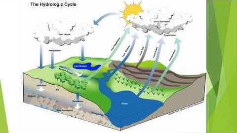 Hydrologic Modelling System HEC-HMS