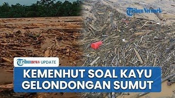 Kemenhut Klarifikasi Narasi Kayu Gelondongan hingga Dugaan Ilegal Logging Penyebab Banjir Sumatera