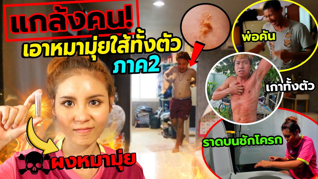แกล้งคน วางกับดักหมามุ่ย(โคตรคัน)ไว้ทั่วบ้านozrealman ภาค2!! ชักโครก ผ้าเช็ดตัว คันจนต้องร้องขอชีวิต
