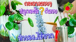 กระถางต้นไม้ diy กระป๋องนมเก่า ไม้ไอติม เพ้นท์กระถางง่ายๆปลูก เปปเปอร์โรเมีย แตงโม/เล่าสู่อู้กำเมือง