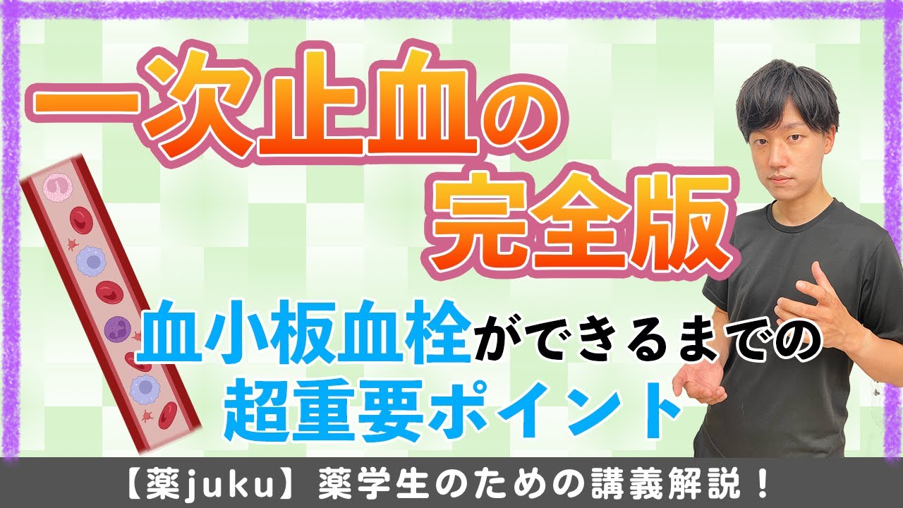 [生物が病態につながる!?]〇〇因子が重要！？CBT・定期テスト対策用の一次止血講義！