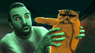 картинка: КОТИК ПОКАЖЕТ КТО ГОСТЬ в No, I'm not a Human