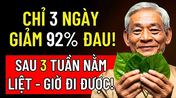 LÁ TRẦU KHÔNG + RƯỢU GẠO: ĐẮP 10 PHÚT – 92% HẾT ĐAU CỘT SỐNG SAU 3 NGÀY!