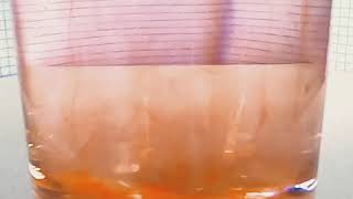 Ice with red dye, melting Net Worth