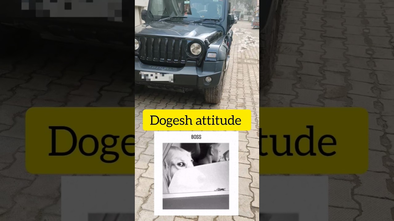 Thar mili toh bhai ne bed bana liya 😴🐶 | Attitude Level 100