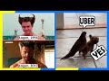 Compilation of internet 2021funnys 2012