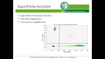 Rare allele detection in FFPE and cfDNA pathology research samples