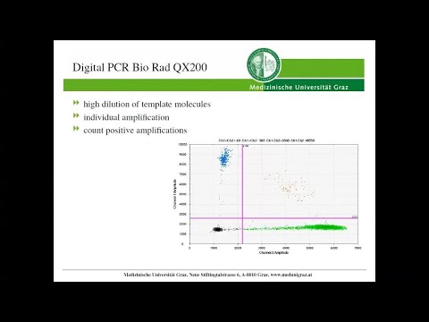 Rare allele detection