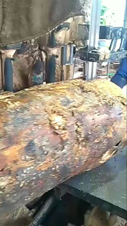 LUMAYAN BESAR KAYUNYA