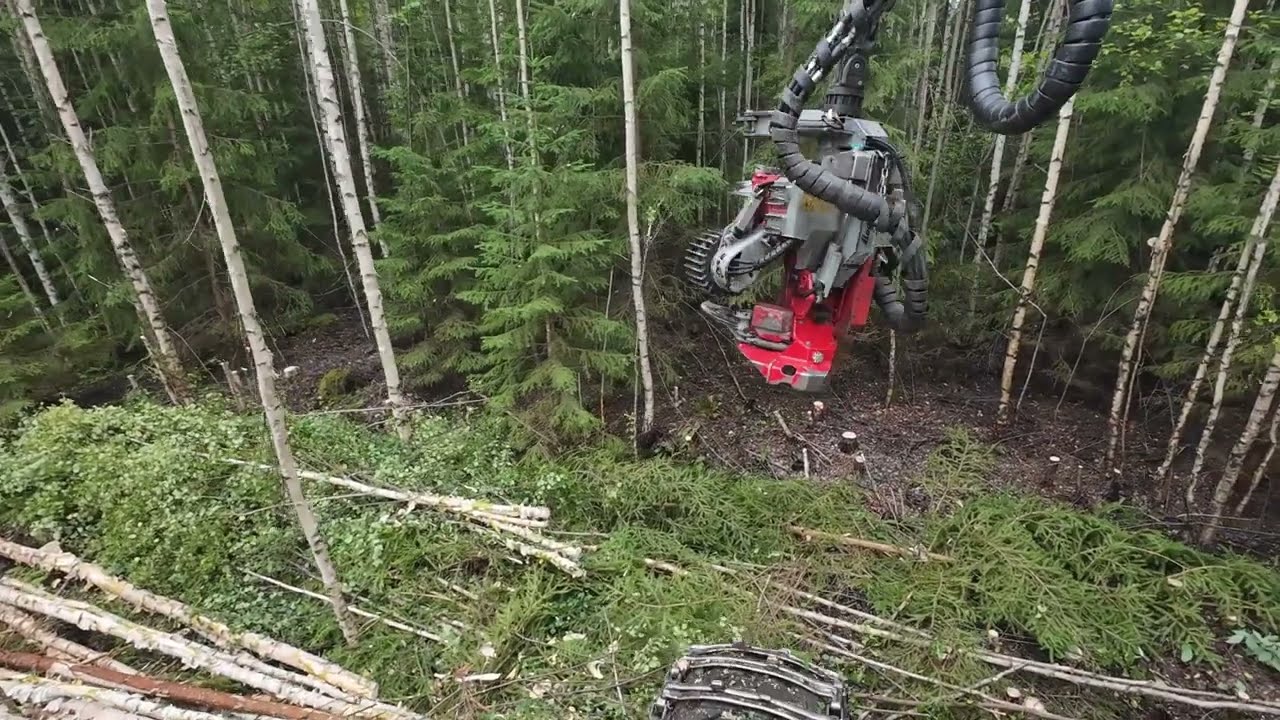 Todellinen energiapuukohde... Komatsu 931 & Logmax 5000D