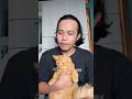 Kucing asia : warga desa gak pake dolar #dialectique #dialektika #prabowo #gibran #jokowi #usd