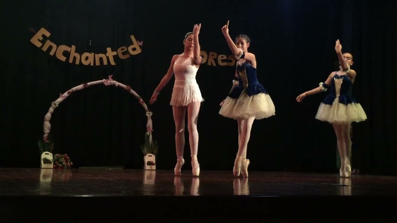 ESPETACULO De Ballet Em Louredo (1) , Santa Maria da Feira, data 10-06-2023