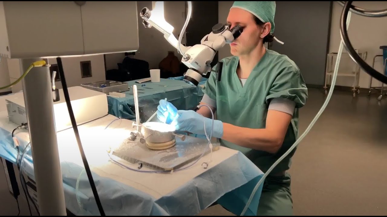 KNO-artsen oefenen complexe ooroperatie met op maat geprint 3D-bot