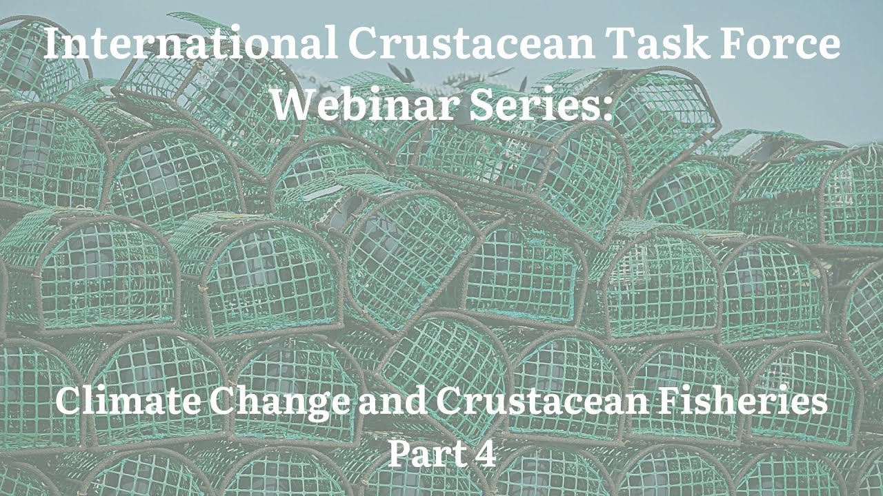 Webinar Series: Climate Change and Crustacean Fisheries