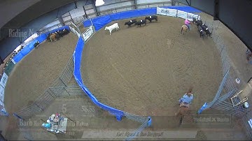 Big Sky Ranch Sorting Saddle Series #4 - #3 SORT - Round #2 - Ride #2