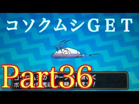 Usum コソクムシのおぼえる技 入手方法など攻略情報まとめ ポケモンウルトラサンムーン 攻略大百科