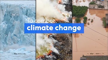 Carbon Dated: The net-zero supply chain revolution