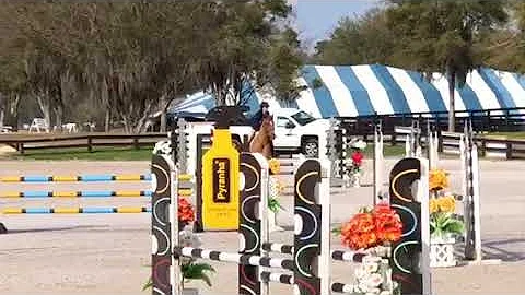Sanmar Farm's Entre Nous III Z and Tamara Morse in...