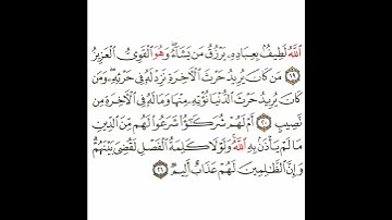 سورة الشورى 8 القسم الثامن تكرار كيفي من .. الله لطيف بعباده .. إلى .. لهم عذاب أليم