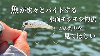 これは知っておきたい!水面モジモジ釣法をご紹介!【ワブクラスリム】【エリアトラウト】
