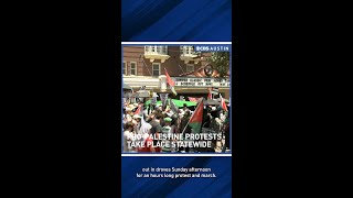 Texans gather for statewide pro-Palestine demonstration