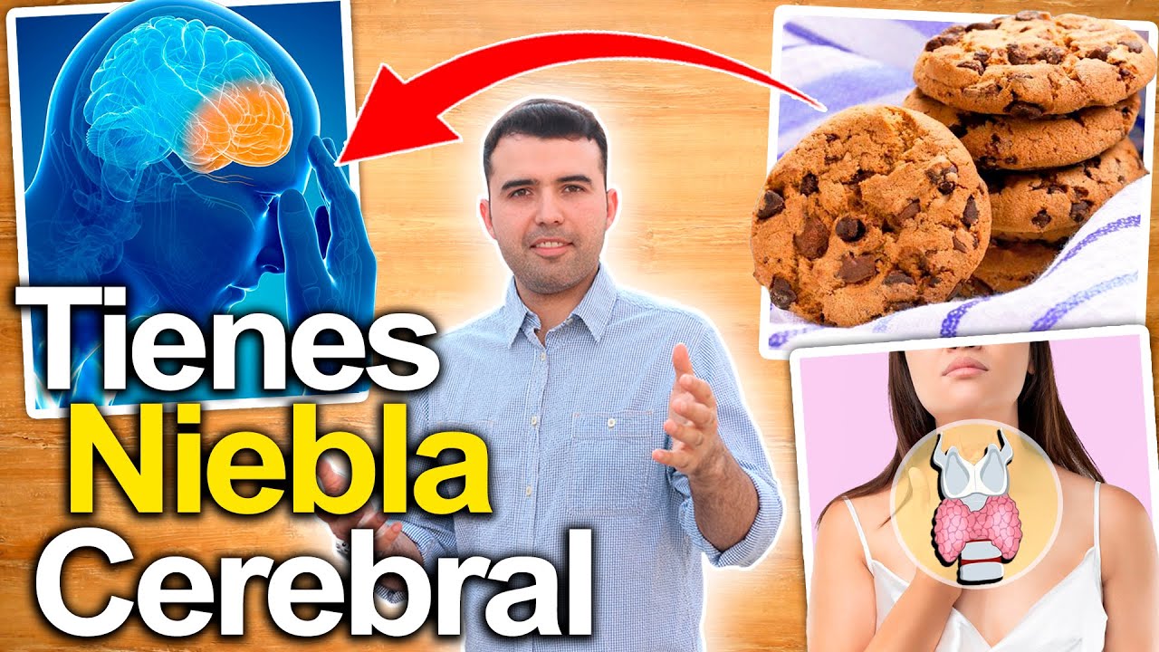 Porqu� Tengo Niebla Mental? - C�mo Eliminar Los Problemas De Memoria Y Lentitud De La Mente