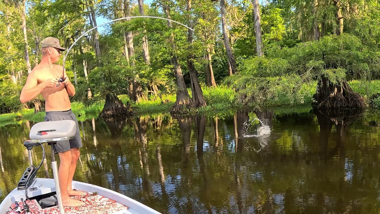 Dog Days Of Summer Bass Fishing