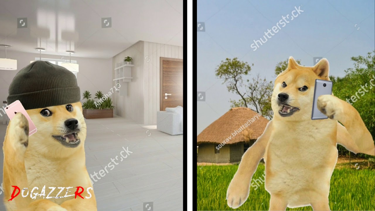 MANISHA HAI  || Robin Doge