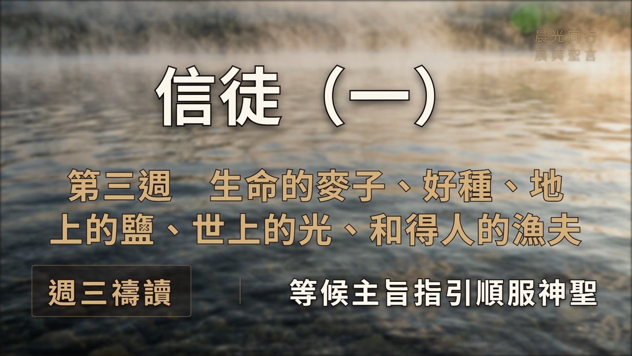 W3D3 信徒（一）　第三週週三　生命的麥子、好種、地上的鹽、世上的光、和得人的漁夫