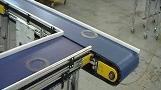 Modular Plastic Conveyors with Live Edge Transfer by Direct Conveyors LLC 344 views 4 years ago 14 seconds