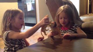 Girls playing 'patty cake cats'