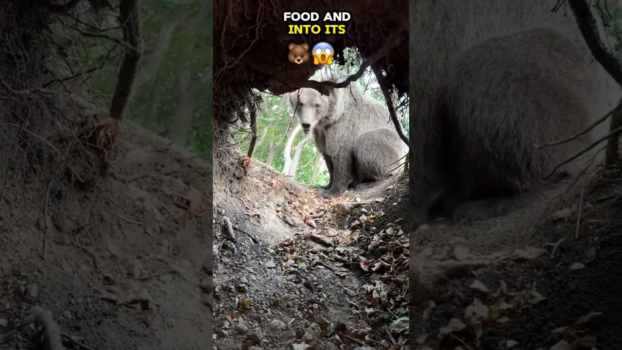 This Man’s Shocking Encounter..