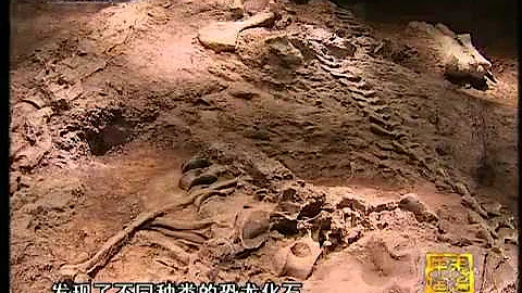走遍中国 走进恐龙谷 - 天天要闻