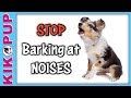 STOP Barking at Noises