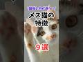 ３万分の1の奇跡 オス猫に比べて雌猫は #人類ねこ同盟 #メス猫 #三毛猫 #ねこたんの解説