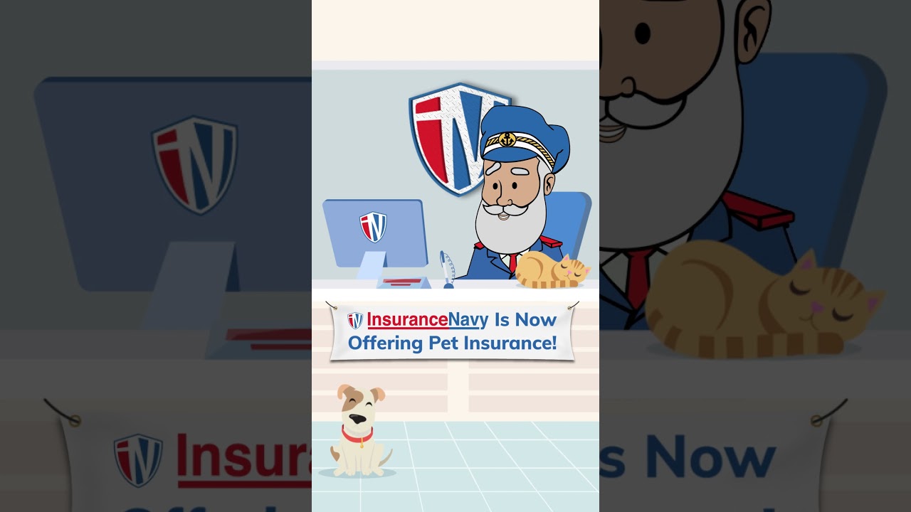 Insurance Navy Is Now Offering Pet Insurance!