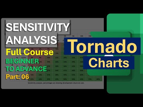 How to make a Tornado Chart in Excel (Excel Financial Analysis)