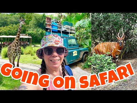 We Found the New Baby Giraffe! 🦒 Hidden Animal Kingdom Gems +