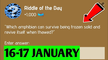 Riddle Of The Day Zoo 16 January | Zoo Riddle Of The Day 16 January | Riddle Of The Day Code Zoo