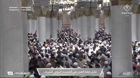 صلاة الفجر للشيخ محمد برهجي من المسجد النبوي الشريف 22 جمادى الأولى 1447 فواتيح سورة الجاثية