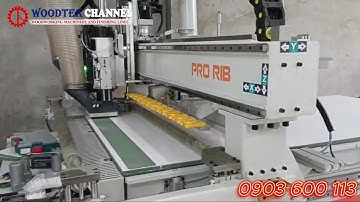 MÁY CNC NESTING PRO R1B - Máy phay khoan cắt ván ép - Máy phay khoan xẻ rãnh tự động thay dao