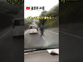 過去にTwitter、SNS全般で大バズりした動画🤣まさかの本人から動画提供!音声あり!#SNS#Twitter#X#YouTube#tiktok#バズり#有名人#煽り運転#事件#事故#乗用車