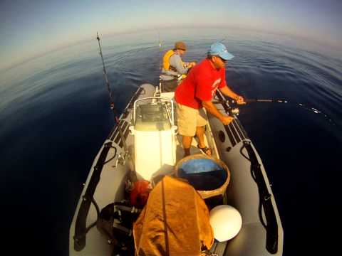 Lampuka 9_7_11.mov
