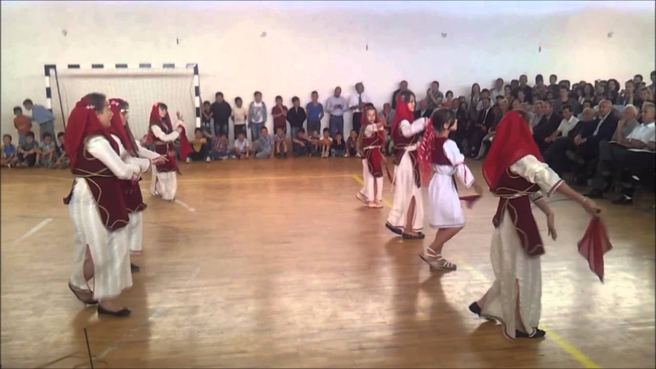 Dita e Shkolles "ZENEL HAJDINI" Raince 2013