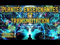 Plantes enseignantes &amp; Transmutation : Conférence de Zoë Hababou à L'Espace Santé Harmonie