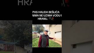 Pas Halida Bešlića ne pije i je jede otkako je on preminuo