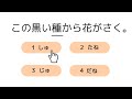 外国人が日本語を頑張る