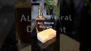 All natural detergent from nut soap🌱 recipe in description