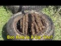 Keeping Bees In A Car Tire?